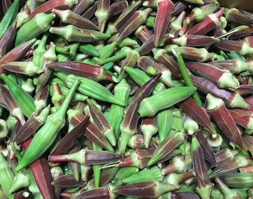 Okra