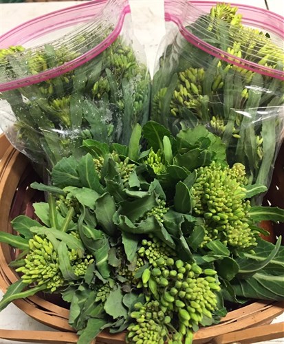 Greens,Collard and Kale Raab "Tips"