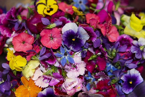 Edible Flowers, Assorted