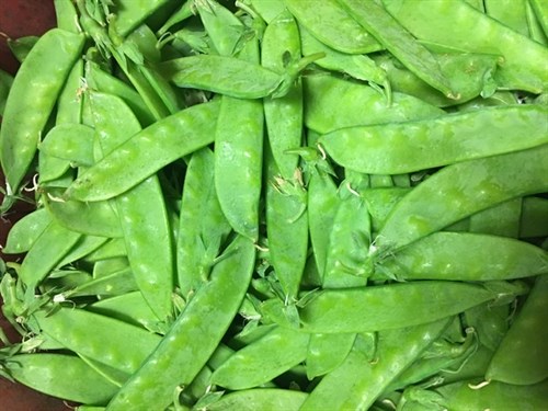 Peas, Snow