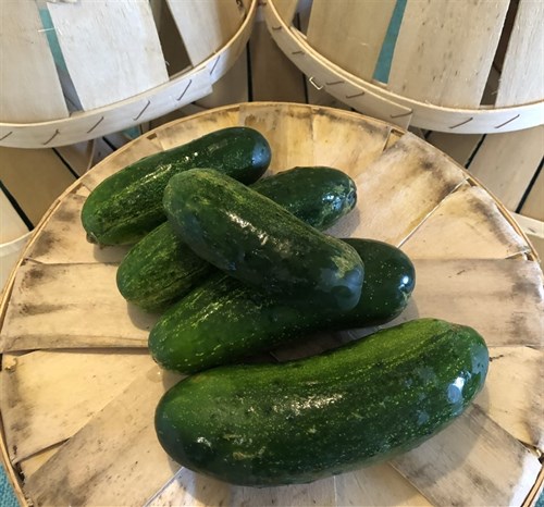 Cucumbers, Pickling Variety