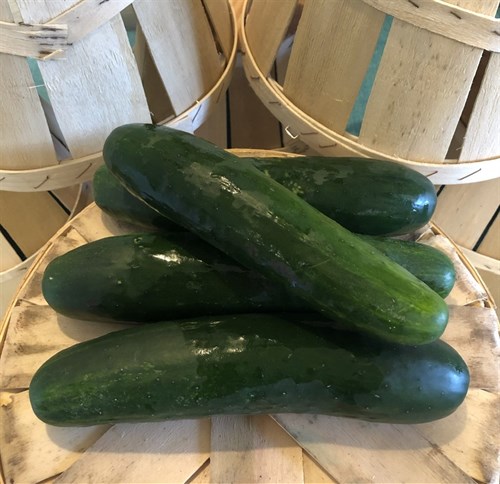 Cucumbers, Straight Eight