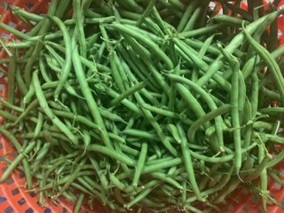 ***Green Beans, String Beans