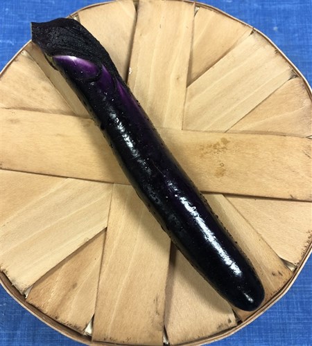 Eggplant, Purple Shine