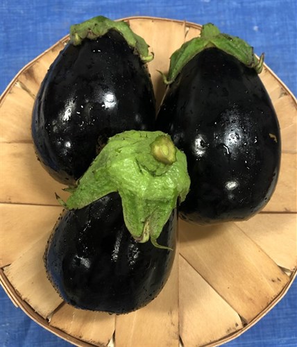 Eggplant, Classic Black