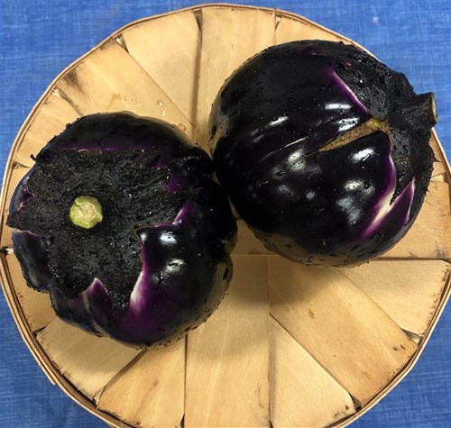 Eggplant, Prosperosa