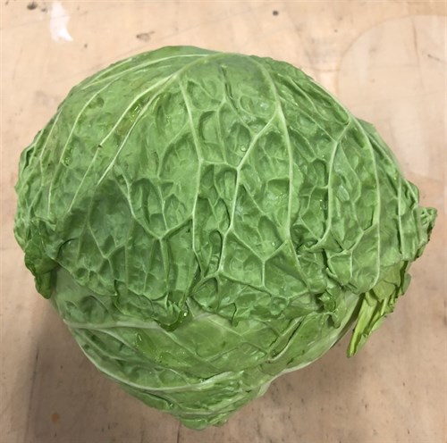 Cabbage, Savoy