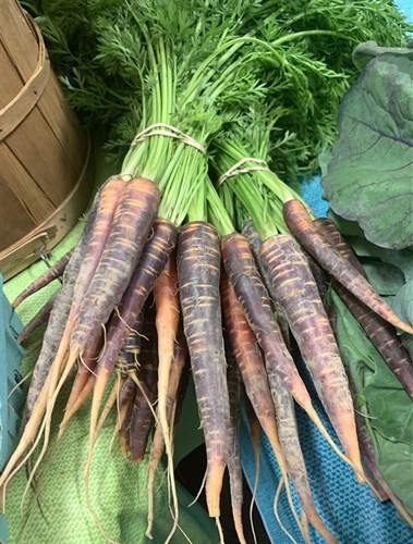 Carrots, Variety Blend (N0 Tops)