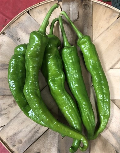 Pepper, Cayenne