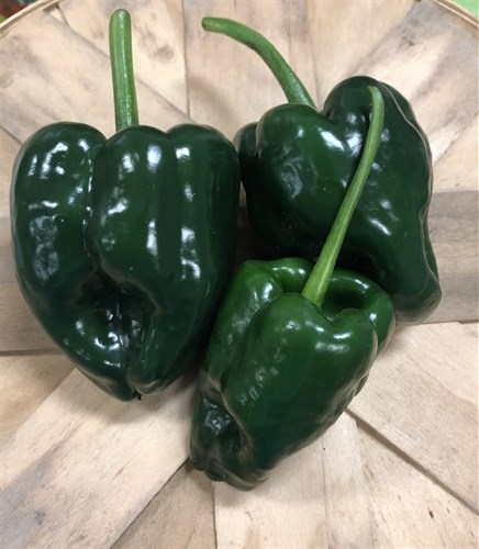 Pepper, Poblano