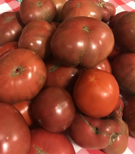 ****Tomato, Heirloom, Purple Cherokee