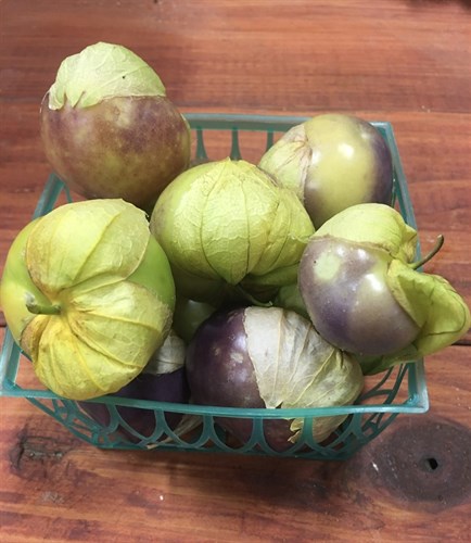 ***Tomatoes, Tomatillo