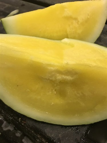 Melon, Watermelon, Butter-Cup Yellow Seedless