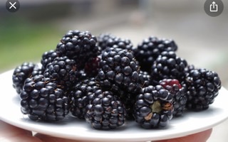 ****Blackberries