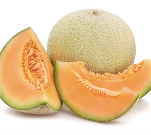 Melon, Cantaloupe