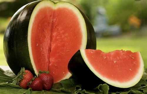 Melon, Watermelon, Sugar Baby Seedless