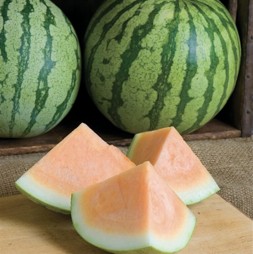 Melon, Watermelon, Orange Crisp Seedless