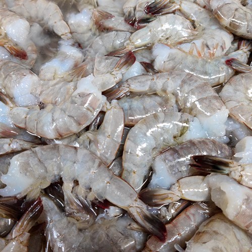 Seafood Shrimp, XL FRESH RAW