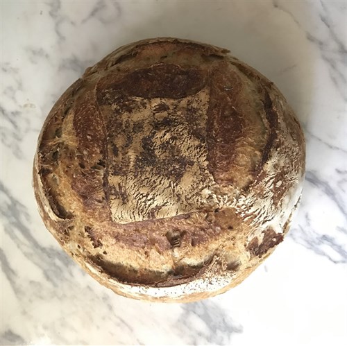 Cranberry Walnut Sourdough Boule