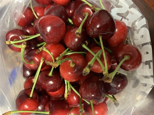 ***Cherries, VA Grown