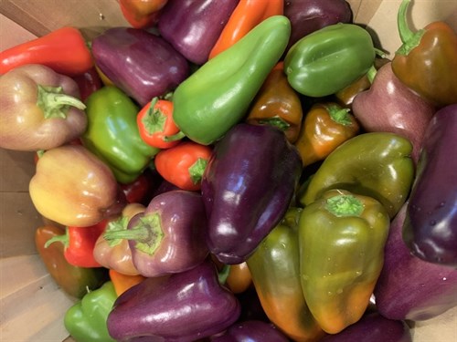 Pepper, Little sweet pepper's