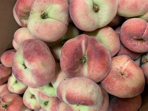 ****Peaches, "DONUT PEACHES"
