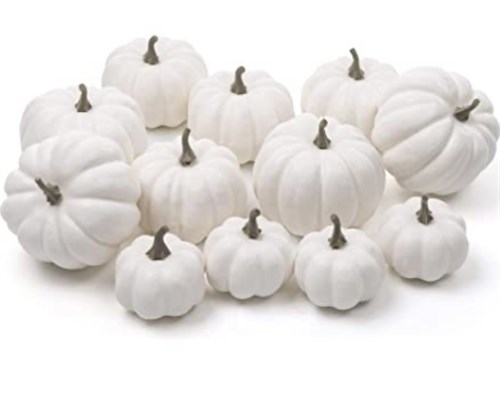 ..Gourd, decorative mini white pumpkin