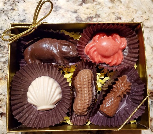 Virginia themed chocolate box