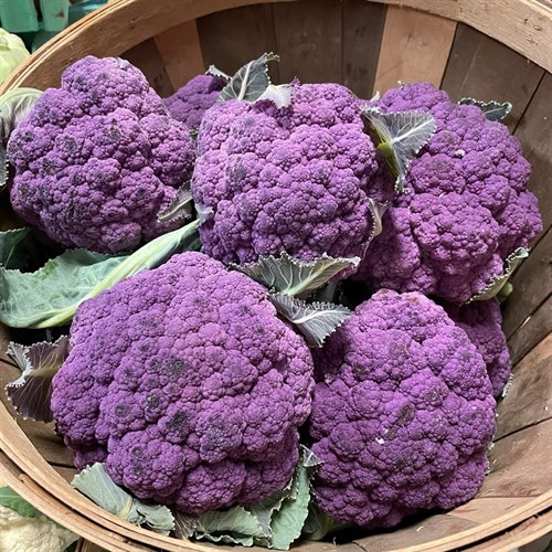 Cauliflower, Purple