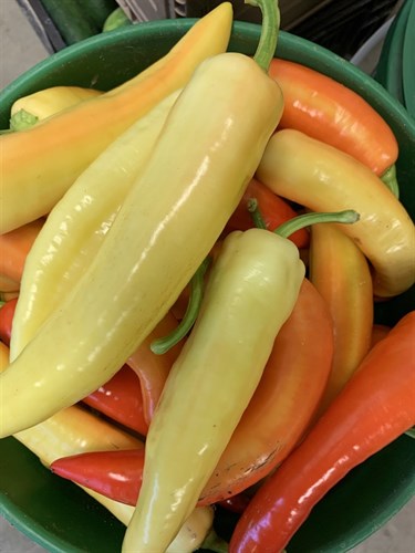 Pepper, Sweet Banana