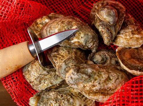 High Tide Oysters