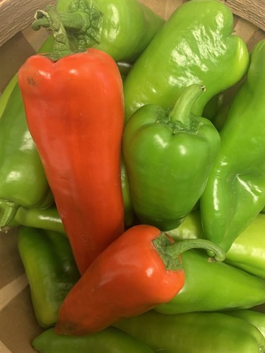 Pepper, Conical Blend