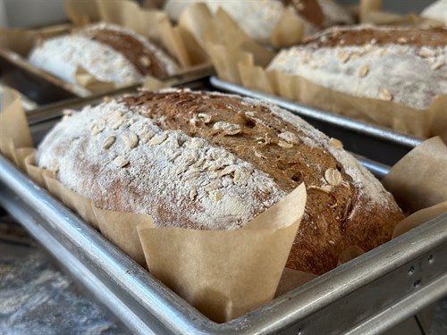 Sourdough - Molasses Oat