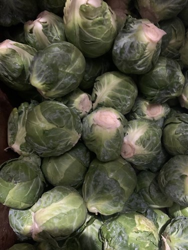 *****Brussel Sprouts