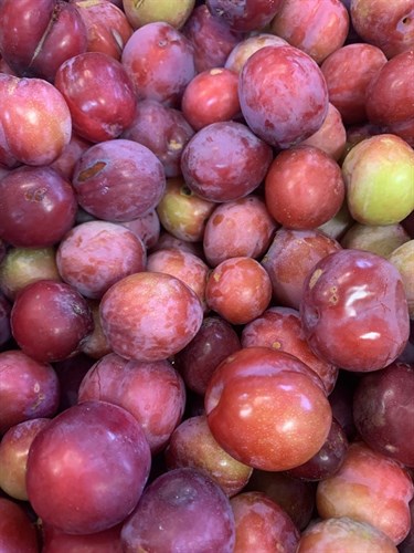 ***Plums