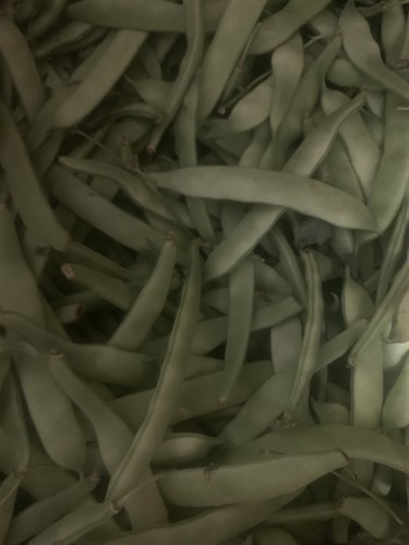 ***Beans, Italian Green Beans