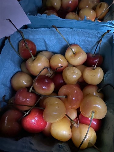 ***Cherries, Rainier