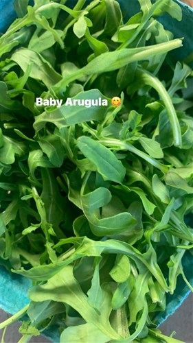 Greens, Arugula, Baby