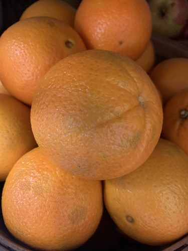 Fruit, Cara-Cara Oranges