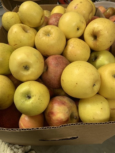 **SALE** Drumheller's #2 Apples