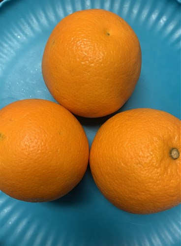 Fruit, Navel Oranges