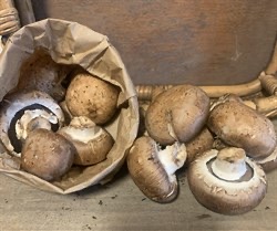 Rudy's, Mushrooms, Cremini