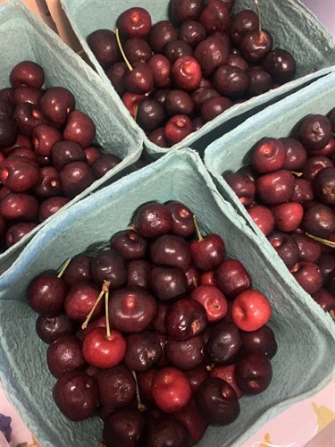 ***Cherries, Rainier