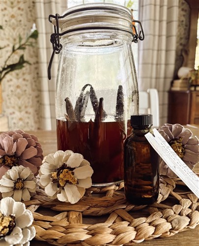 Vanilla Extract-ORGANIC VODKA