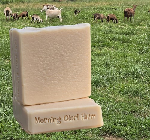 Goat Milk Soap Wild Elderberry