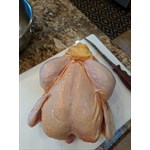 Whole broiler chicken
