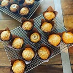 Banana Bread Muffins