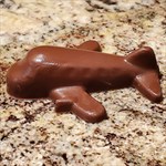 Airplane chocolate side view